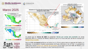 Contingencia 20Feb