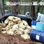 Fuerzas federales desmantelan en Michoacán laboratorios de droga sintética y aseguran 42 toneladas de metanfetaminas