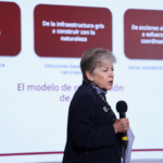 Nueve mil, de las 90 mil toneladas de sargazo que navegan en altamar, llegan a diario a las costas de Quintana Roo: Semarnat